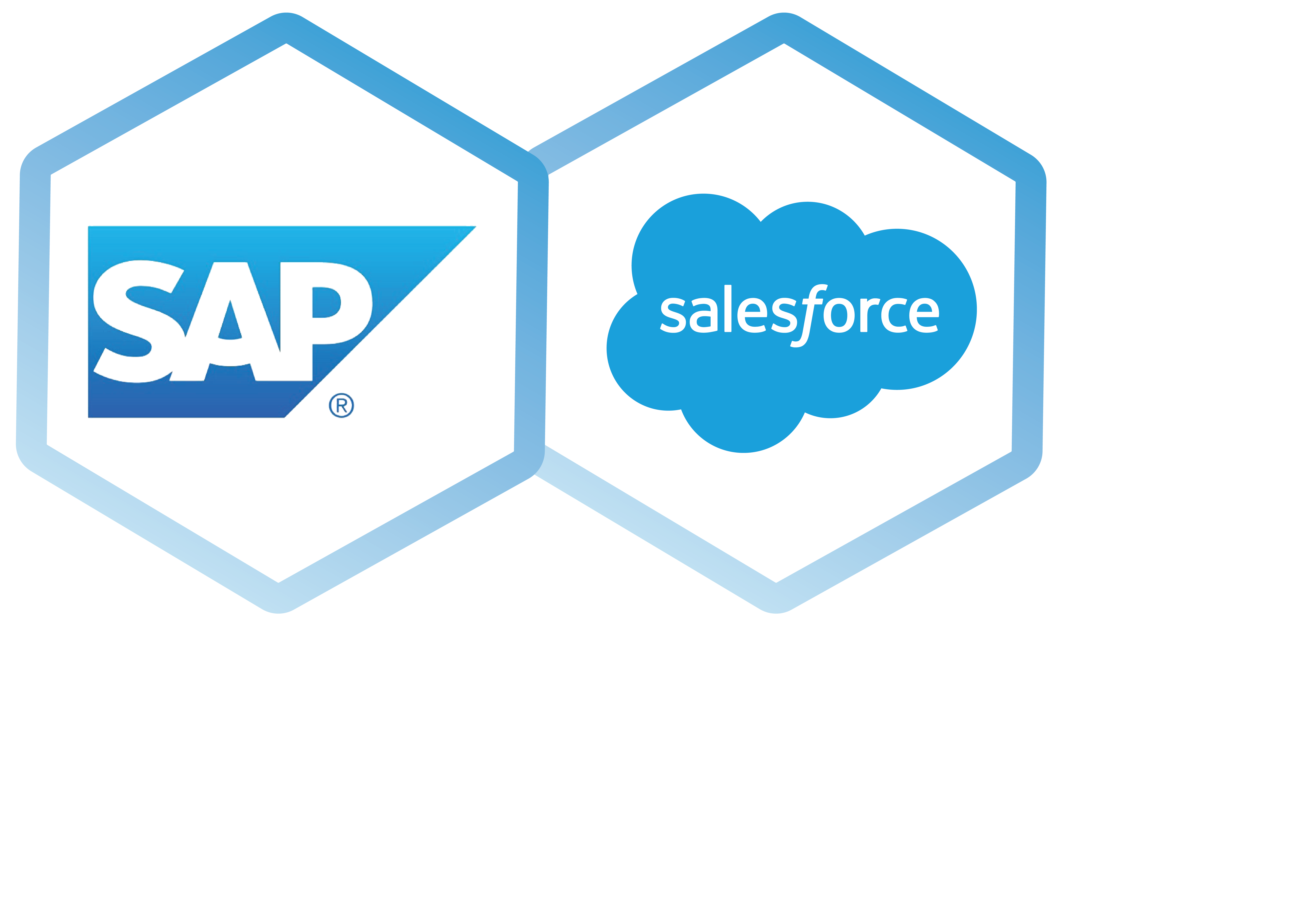 SAP Salesforce Application Connector