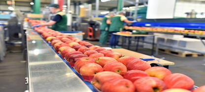 Food Manufacturer Manages Demand Shock