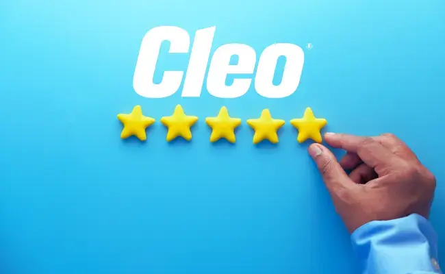 cleo-satisfactory-work-experience